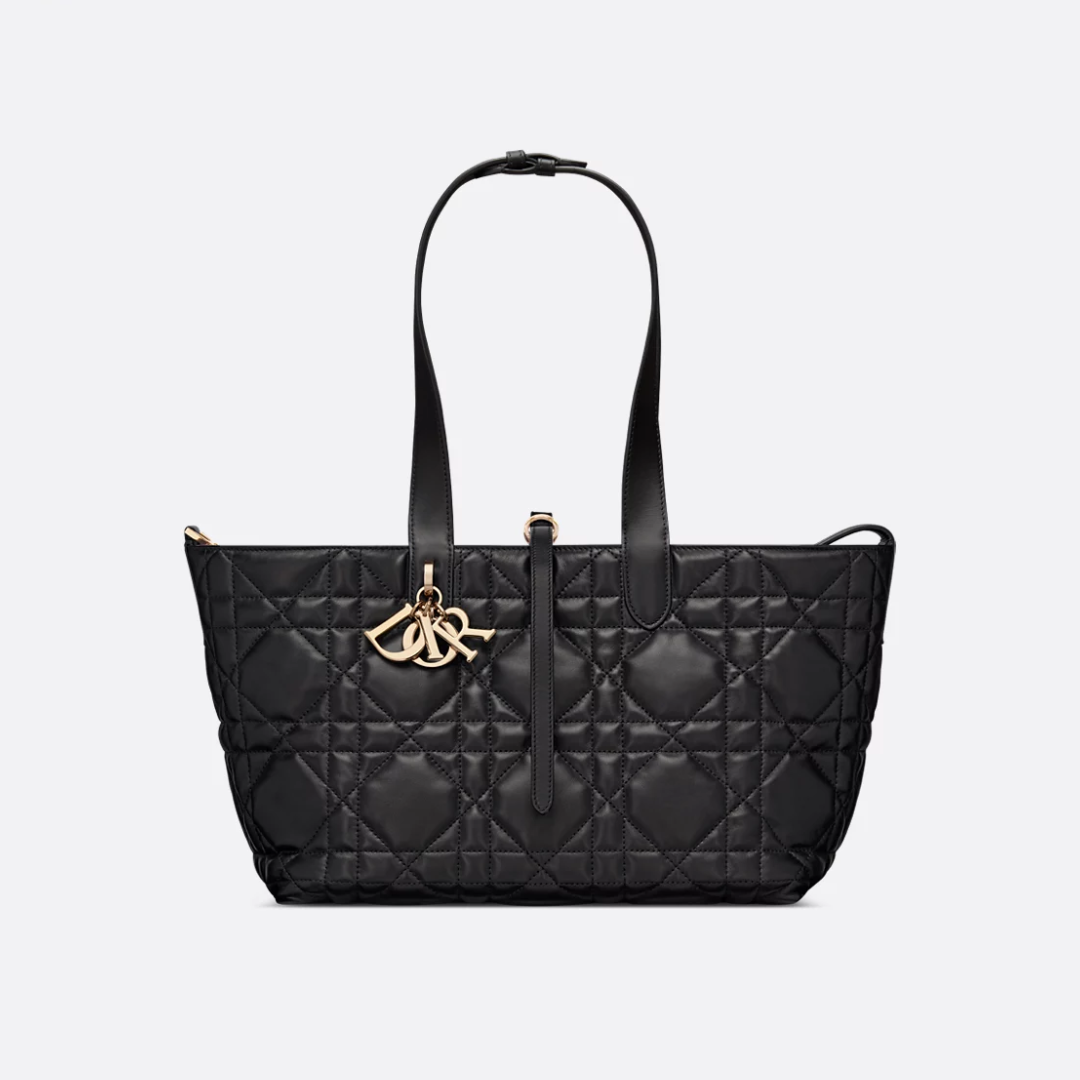 DIOR TOUJOURS VERTIKALE TOTE-TASCHE MITTEL
